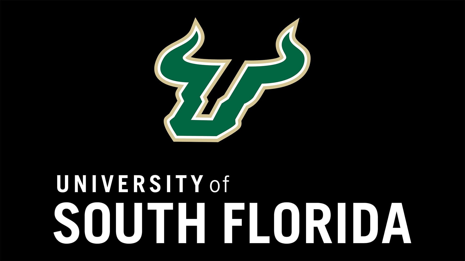 university-of-south-florida
